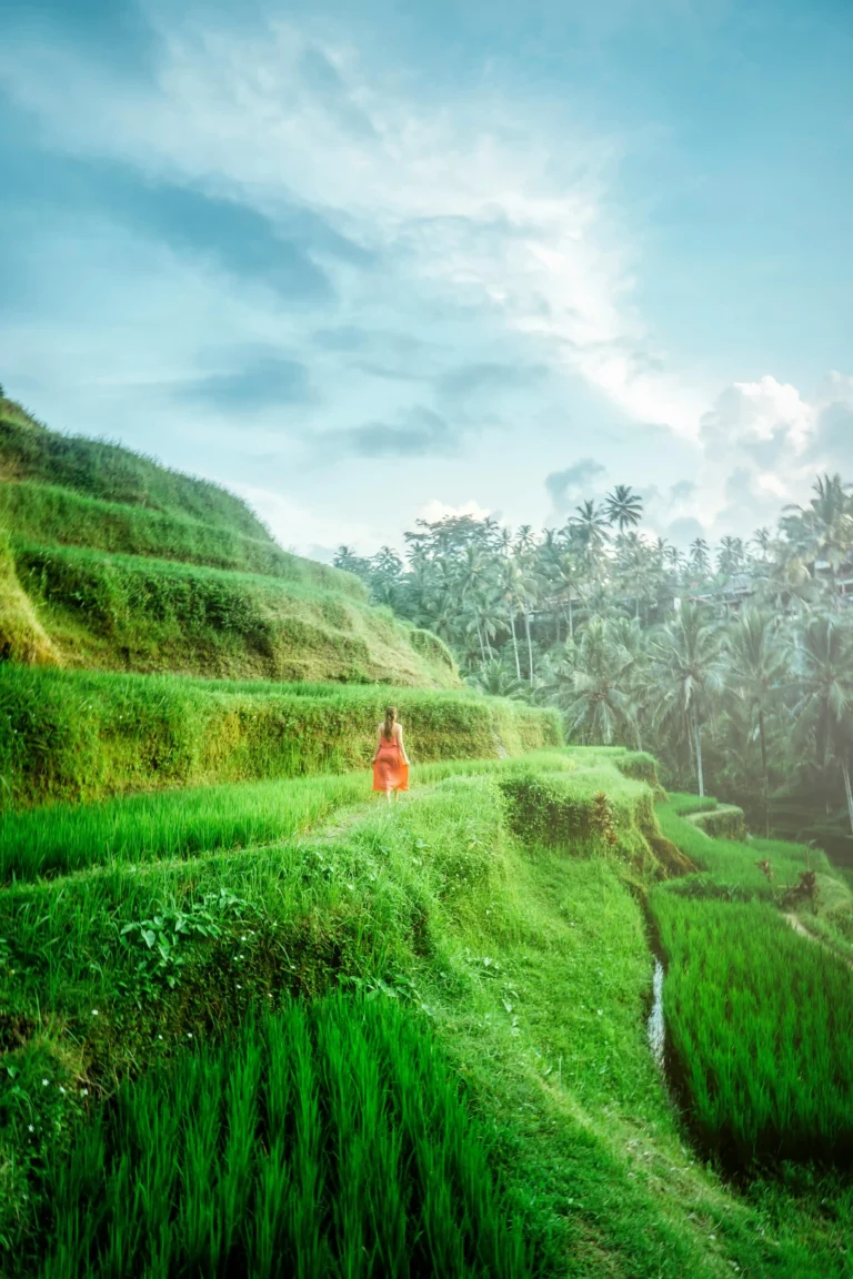 Mountain and grass and woman walking