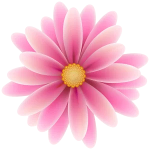 beautiful pink flower