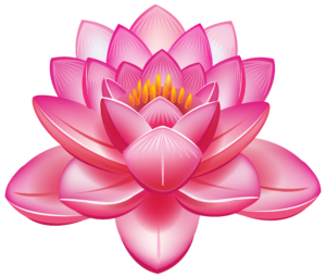 Lotus flower