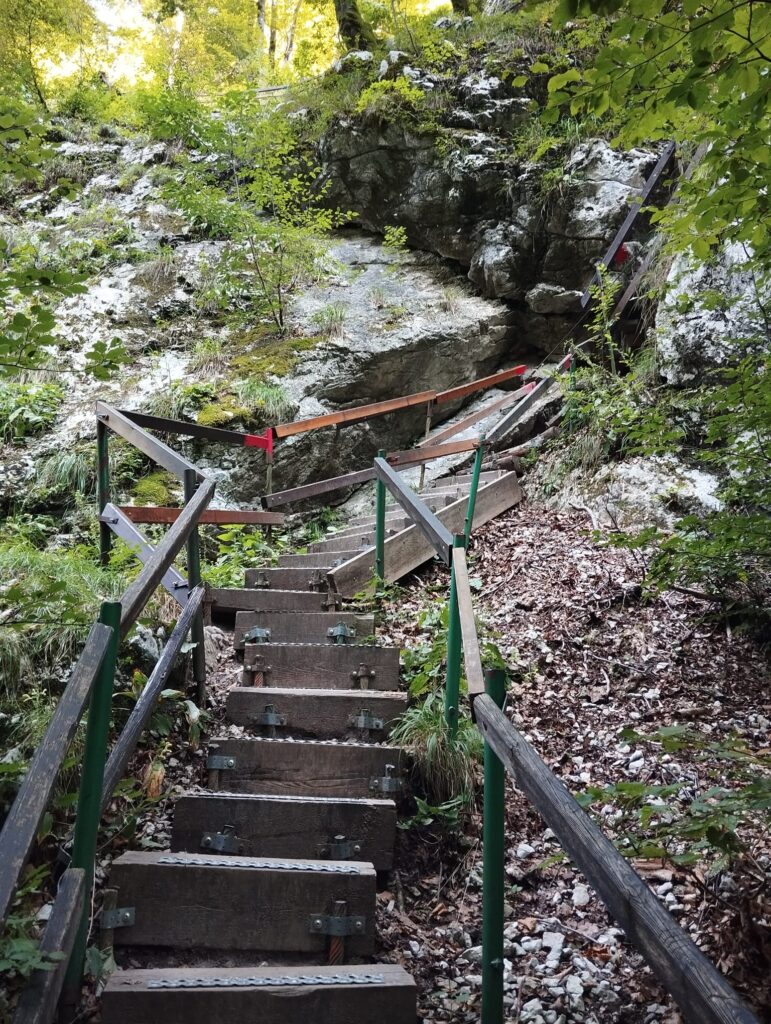 (1) The zenful path: mindfulness, balance and setting intentional goals