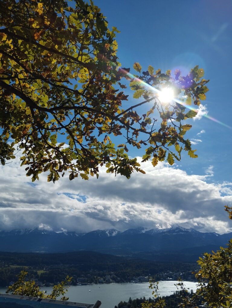 WhatsApp Image 2024-10-14 at 21.15